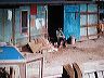 kaurismaeki_still1
